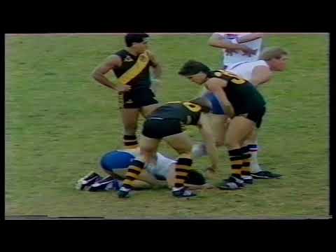1985 Round 16 Glenelg 13.12 90 d Central 12.14 86