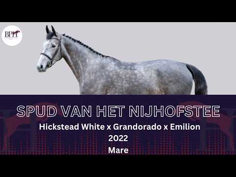 Spud van het Nijhofstee