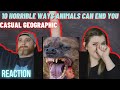 10 Horrible Ways Animals Can End You Mndiaye 97 HatGuy Nikki React
