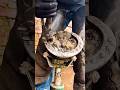 Satisfying Horse Shoe Restoration Hoof Cleaning Viral