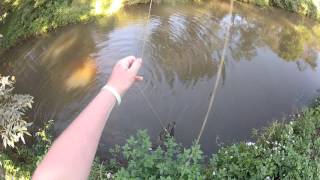 Bow fishing meter plus eel