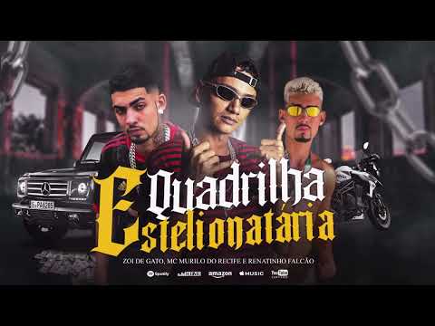MC RENATINHO FALCÃO FEAT ZOI DE GATO E MC MURILO DO RECIFE - QUADRILHA ESTELIONATARIA  - BREGÃ FUNK
