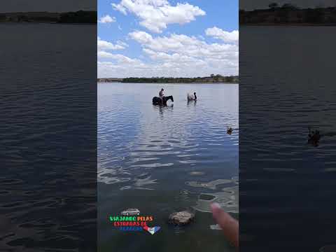 Olha quem está tomando banho, no açude de Jaramataia.