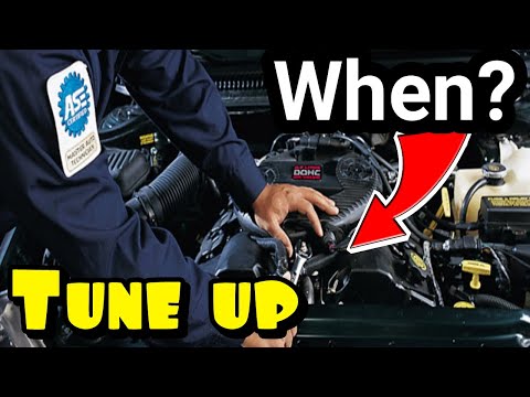 When should you get your TUNE UP DONE? How can you TELL IF YOU NEED A TUNE UP? Lets talk
