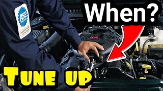 When should you get your TUNE UP DONE? How can you TELL IF YOU NEED A TUNE UP? Lets talk