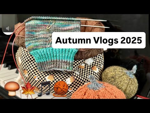 Autumn Vlogs 2025 - Oct. 14th - Pattern writing, scarf knitting and cozy a family dinner🍁🎵🧶