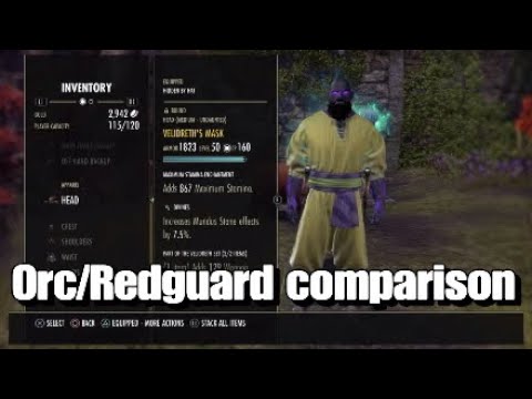 Eso - Stamina Warden 56.5k dps wrathstone selfbuffed
