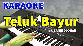 Download lagu TELUK BAYUR Ernie Djohan KARAOKE HD... mp3
