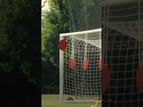 APENAS IBRAHIMOVIĆ FAZENDO COISAS DE IBRAHIMOVIĆ! 😱⚽ #shorts