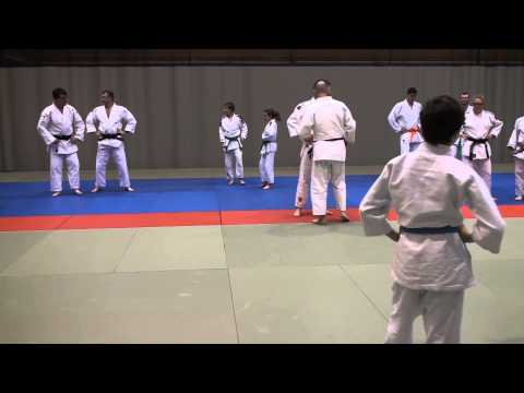 Hikari Sasaki - intro