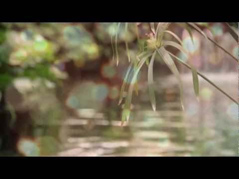 James Ross Singing - Home