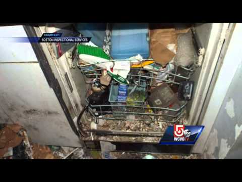 Stunning discovery in Back Bay condo