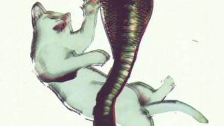 Les Savy Fav - The Orchard