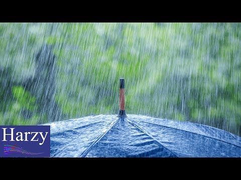 Tomoya Naka - Rainy Song [1 Hour Version]