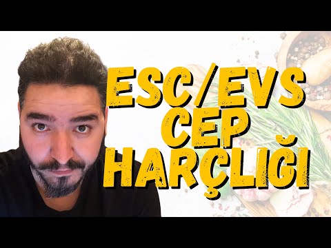 ESC programı cep harçlığı (pocket money)