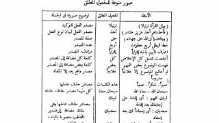 النحو الوظيفي(35)صور منوعة للمفعول المطلق image