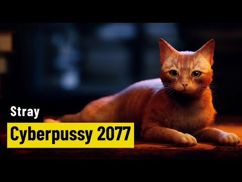 Stray | PREVIEW | Cyberpunk-Adventure mit tierischem Charme