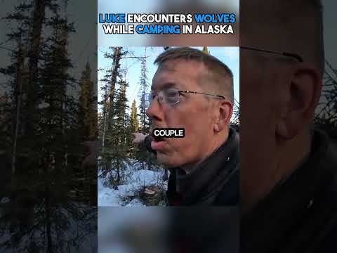 Luke Encounters Wolves While Camping #shorts #viral