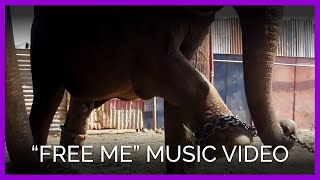Free Me | PETA&#39;s Heartbreaking Music Video