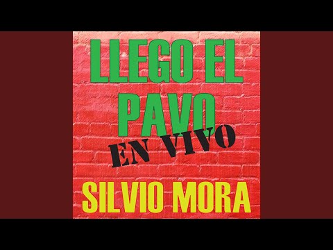 Llego el Pavo (Live)