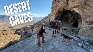 Download lagu Desert Caves, Hidden Oasis & Riding Against Time mp3 Download lagu Desert Caves, Hidden Oasis & Riding Against Time mp3