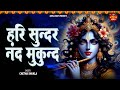 #Video ~ Hari Sundar Nand Mukund || Chetna Shukla || हरि सुन्दर नन्द मुकुंद || Krishna Bhajan 2024