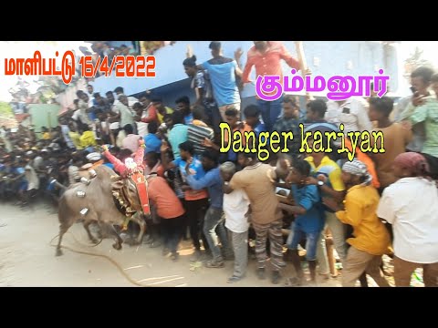 💥Gummanur Danger Kariyan7.27🌟 malipattu Street 16/4/2022
