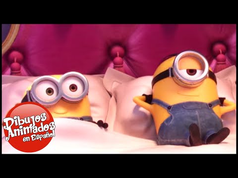 MINIONS en Español | Los Minions Pelicula | Dibujos Animados | caricaturas para niños