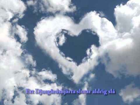 Dödsmisshandel djurgårdssuporter