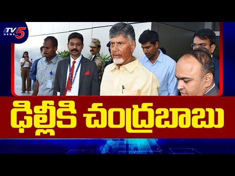 ఢిల్లీకి చంద్రబాబు | CM Chandrababu Naidu Delhi Tour | TV5 News Teluguvoice