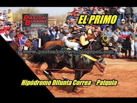 El Primo, Patquia (10-06-18)