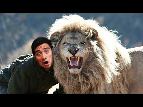 Zach King Vine and Tik Tok Compilation 2020 - Best Magic Vines !!! (Part 12)