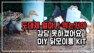 진작에 이렇게 했어야지 ! 닭모이통 DIY 키트로 간단 완벽하게 만들기