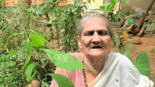 Karimkurinji - a folk medicine for inflammations 