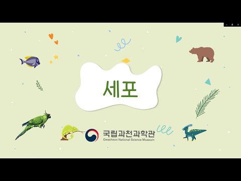 「세포로」의 한국수어 표현