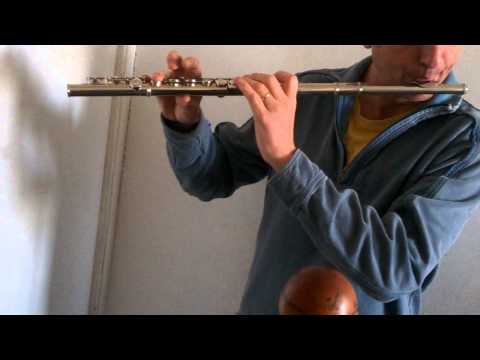 Yamaha Flute YFL 22N