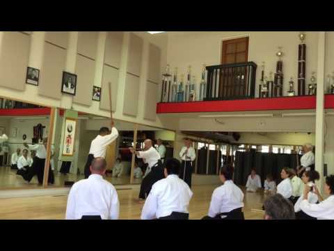 Aikido Demo @ Mill Valley Aikido 2016-08-07