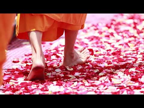 Joseph Goldstein – Insight Hour – Ep. 76 – Turning the Wheel of the Dharma: The Nature of Craving