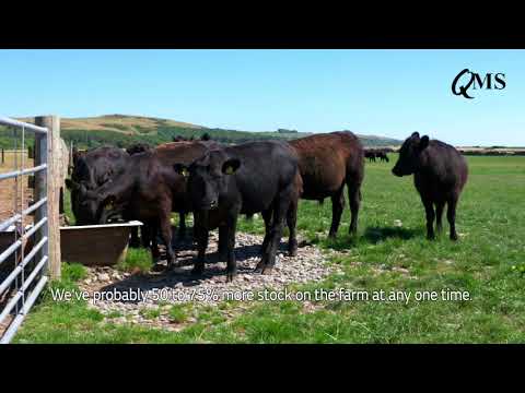 Watering Solutions for Paddock Grazing