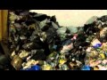 Rain Tree Crow - Pocket Full of Change 