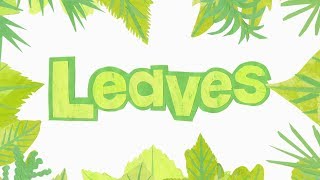 Leaf Names & Shapes - Learn to Identify Trees by Their Leaves | Fun Nature Guide for Kids
