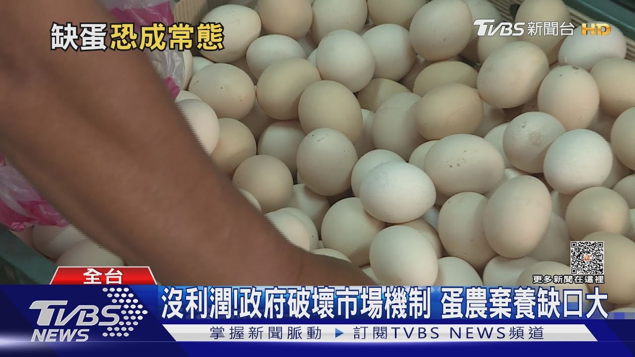 白忙一場!進口上億顆蛋反而蛋價創新高 今年蛋荒恐延續到明年