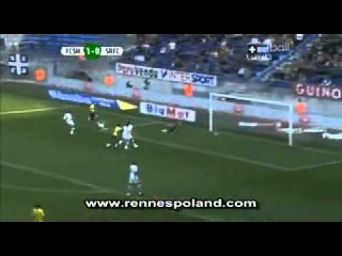 2008/2009 L1 J30 Sochaux-Rennes: 3-0