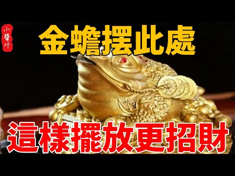 金蟾蜍位置