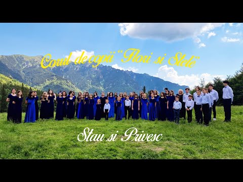 Flori si Stele - Stau si Privesc