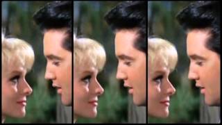 How Can You Lose What You Never Had - Elvis Presley