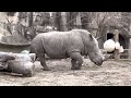 Detroit Zoo Part 2