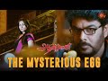 Who S Haunted Sundar C Finds Out Aranmanai Movie Premiere This Sunday At 3 PM Hansika Sun TV