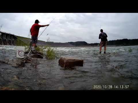 2020 1028 135504 001 Trim David bird