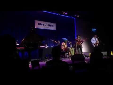 Corey Harris Band Live